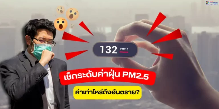 ค่าฝุ่น PM2.5