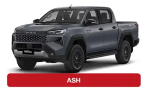 hilux travo prerunner 4trex