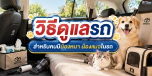 วิธีดูแลรถสำหรับคนมีน้องหมาน้องแมวในรถ